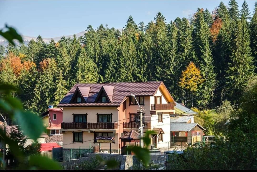 Casa Teleferic Hotel Busteni Exterior photo